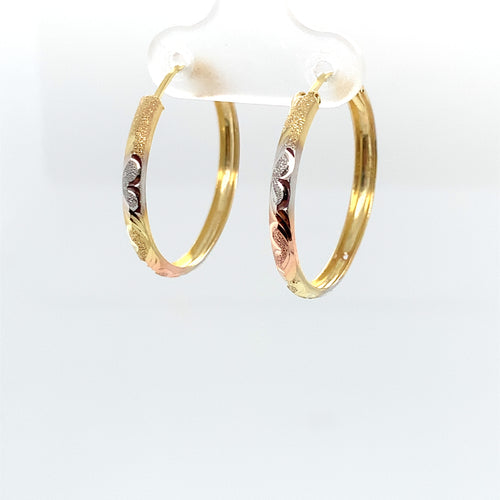 14k Tri Gold Heart and Star Earrings