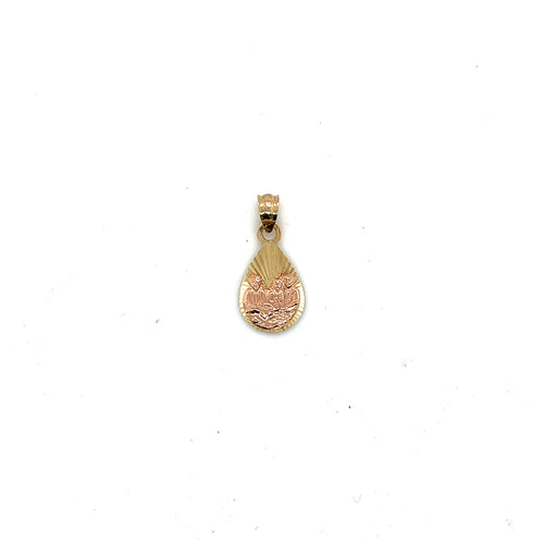 14k Gold Baptism Symbol Pendant