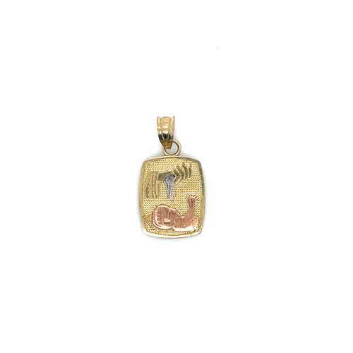 10k Gold Baptism Symbol Pendant
