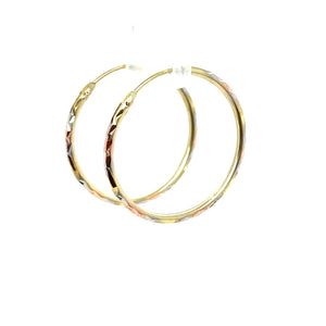 10k Tri Gold Hoop Earrings