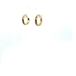 10k Gold Red Small Hoops