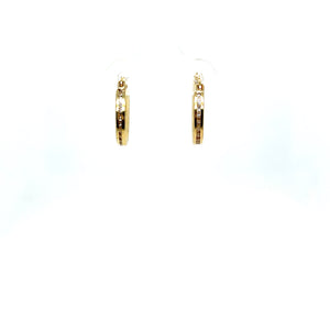 10k Gold Clear Small Hoops