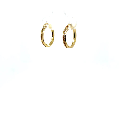 10k Gold Clear Small Hoops
